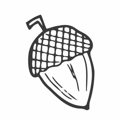 Linear cartoon hand drawn acorn. Cute raster black and white doodle acorn. Isolated monochrome acorn silhouette on white background. © Saramix