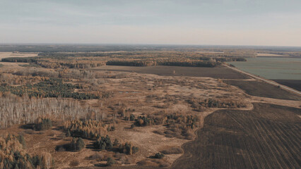 Fields and yellow trees in autumn time in Ural