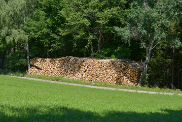 Holzstapel im Odenwald
