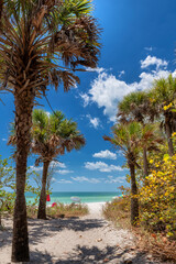 Palm trees in sunny tropical beach. The pathway to beautiful white sand beach in Naples Beach,...