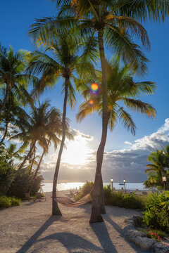 Palm trees at sunset in beautiful tropical beach in Key Largo. Florida