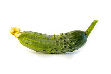 Young cucumber isolated on white