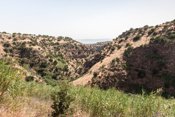 Fototapeta na wymiar Hillsides overgrown with forests and grass in the Black Gorge on the banks of the Zavitan stream in the Golan Heights, near to Qatsrin, northern Israel