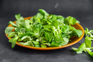 salad green mache leaves mung bean lettuce fresh healthy meal food snack diet on the table copy space food background rustic 