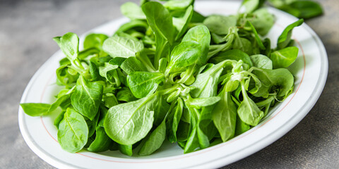 salad green mache leaves mung bean lettuce fresh healthy meal food snack diet on the table copy space food background rustic 