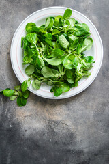 salad green mache leaves mung bean lettuce fresh healthy meal food snack diet on the table copy space food background rustic 