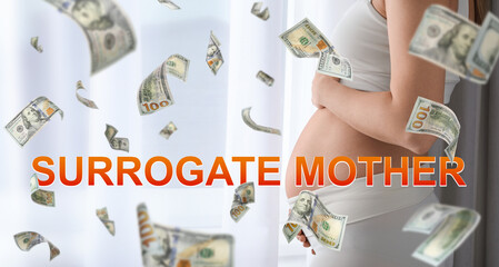Surrogacy concept. Closeup view of young pregnant woman and flying money near window at home