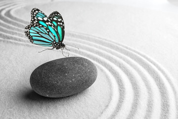 Fototapeta na wymiar Beautiful butterfly and stone on white sand with pattern. Zen concept