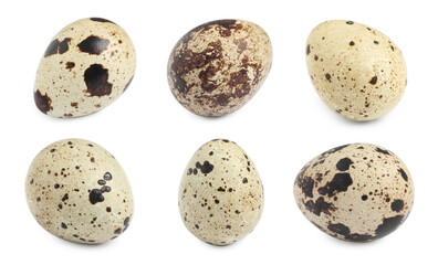 Fototapeta premium Set with quail eggs on white background