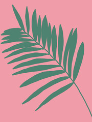 Minimalist vector illustration with palm leaf. Green leaf on pink background. Foliage, nature. For cards, posters, stationery, as background or template. Natural colors.