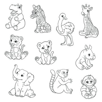African animals kids. Children's coloring book. Lion, elephant, giraffe, zebra, leopard. Black and white vector illustration for coloring in black and white. coloring page
