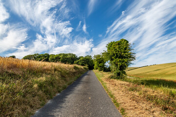 A single lane road in Sussex with farmland either side