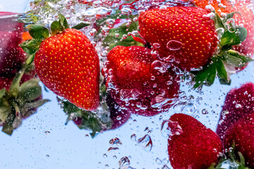 Fresh strawberries dropped into water with water splash and air bubbles on blue background.