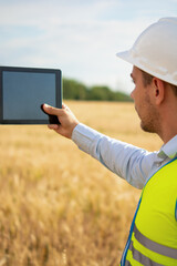 an engineer with a tablet in his hands stands in the middle of a green field, an agronomist in a field with wheat checks the harvest, summer day, smart farm, farming activities, eco products.