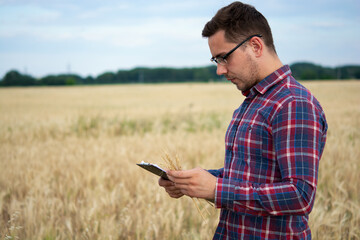 Naklejka na ściany i meble Farmer holding tablet, agronomist using online data management software, creating yield maps in wheat field