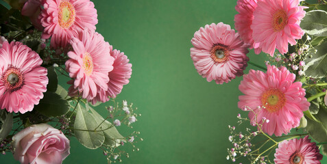 Floral background with pink gerbera flowers frame at green backdrop. Front view with copy space.