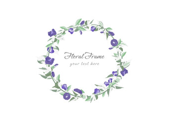 wicker of blooming butterfly pea flower with spotted foliage vector