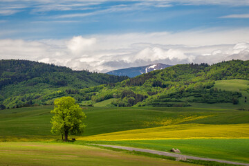 Spring landscape of meadows and forests. The Low Tatras mountain range at background, Slovakia, Europe.