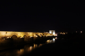 Fototapeta na wymiar The night view of the Roman bridge in Cordoba, Spain