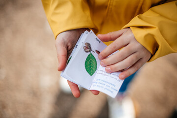 Close up of a child's hands holding a small handmade book with a picture of a plant. A perfect...