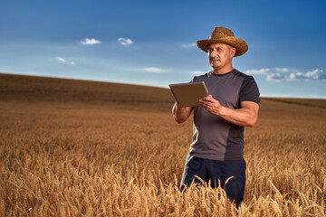 Naklejka na ściany i meble Farmer with a tablet in a wheat field