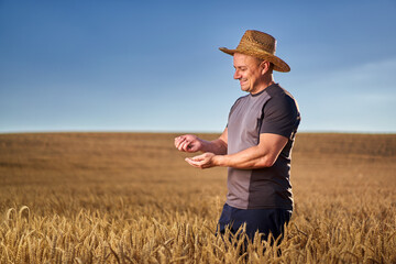 Happy farmer in a wheat field