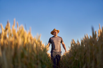 Happy farmer in a wheat field