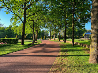 Park with beautiful plants, benches and pathway on sunny day. Spring season