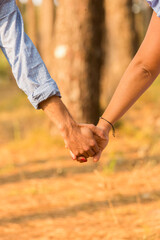 couple holding hands in the forest
