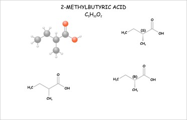 Stylized molecule model/structural formulas of 2-methylbutyric acid.