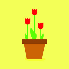 red tulip in a flowerpot