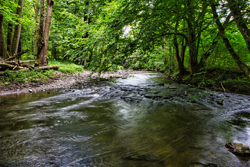 Kleiner Fluss Bach im Wald 