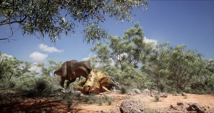 Two tyrannosauruses meet each other in the jungle. T-rex is out on the hunt. 3D rendering.