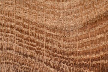 Texture of old wood close-up. Can be used as a background.
