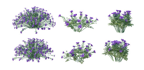 3d render flowers on a white background