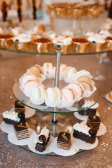 cake with whipped cream