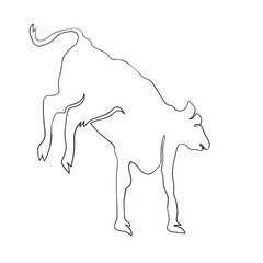 Funny cow continuous line art drawing, the cow sketch black linear isolated on white background, the best funny cow vector illustration. 