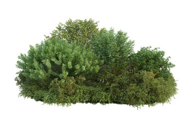 Fototapeta premium 3d render flowers and shrubs on a white background
