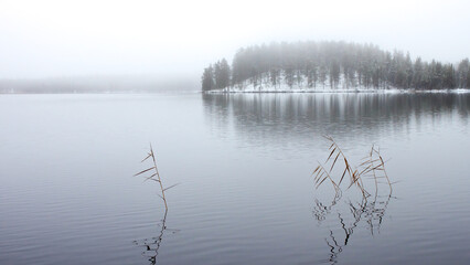 lake in fog