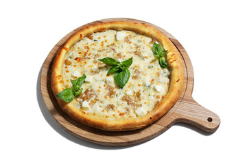 Pizza with different types of cheese, cheddar, mozzarella, dor blue