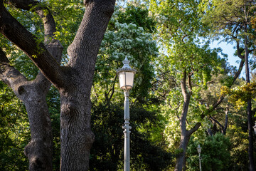 Fototapeta premium Garden in city Istanbul, Turkey
