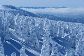 蔵王の樹氷。山形、日本。1月下旬。