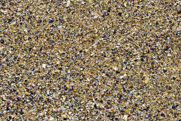 The sandy surface. The texture of the sea shore.