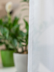 Tulle curtains white and yellow texture