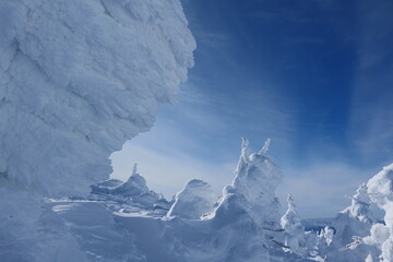 蔵王の樹氷。山形、日本。1月下旬。
