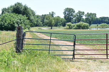 Garte on a Farm Fence