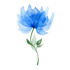 Beautiful blue watercolor flower. Watercolor botany. Flower petals. Lush flower bud on a white background.