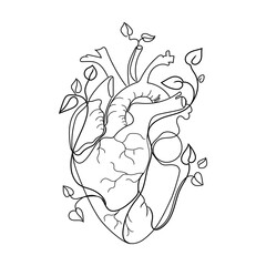 Human heart with branches growing plant leaves line art vector illustration isolated on white background. Abstract anatomical heart liner drawing, black and white sketch, great design for any purposes - obrazy, fototapety, plakaty