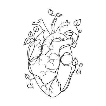 Human heart with branches growing plant leaves line art vector illustration isolated on white background. Abstract anatomical heart liner drawing, black and white sketch, great design for any purposes