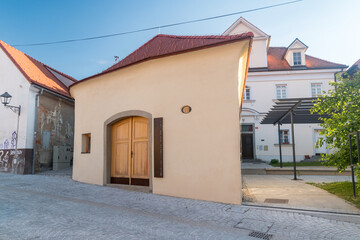 Fototapeta na wymiar Maribor, Slovenia - June 2, 2022: Museum of the Oldest Vine in the World.